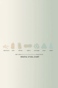 Stool Shapes, Decoded: Poop Shape Meaning From Hard to Watery